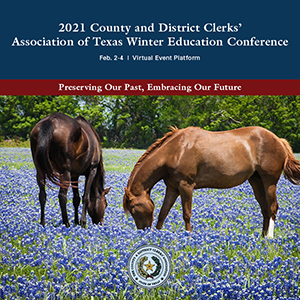 2021 Virtual CDCAT Winter Conference